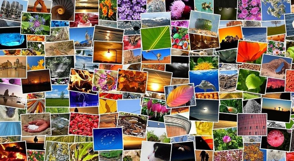 Imprimer vos souvenirs : pourquoi choisir une imprimante photo ?